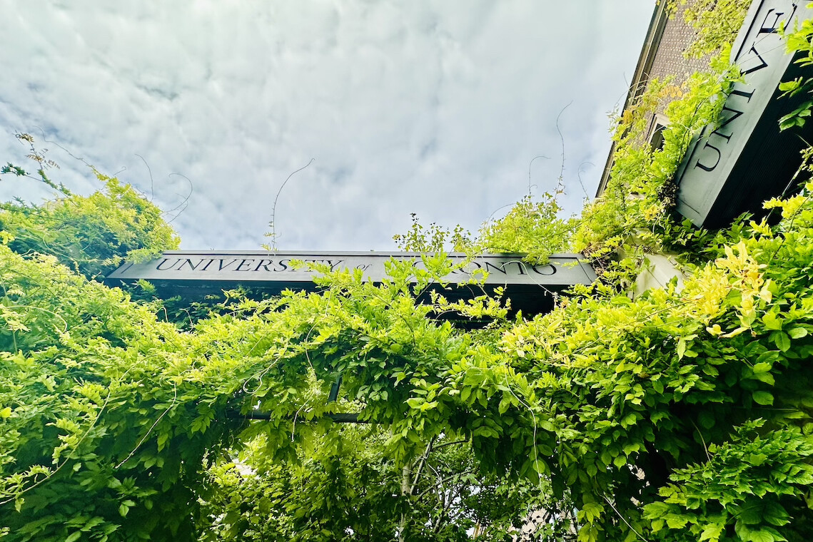 Image of vines and U of T sign