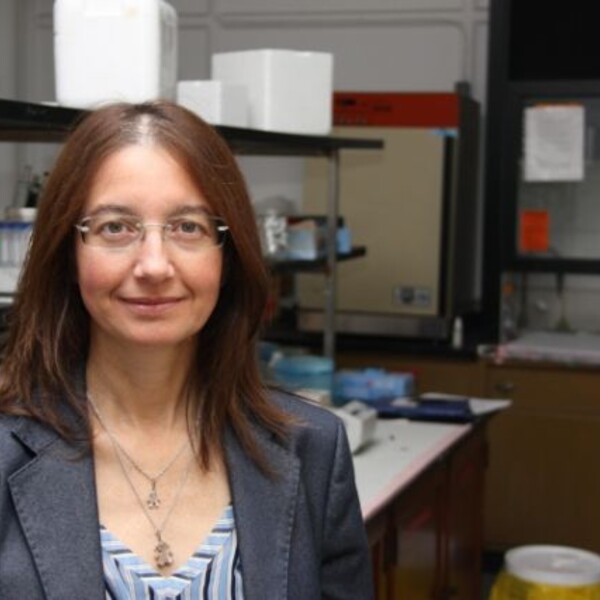 Professor Elena Comelli