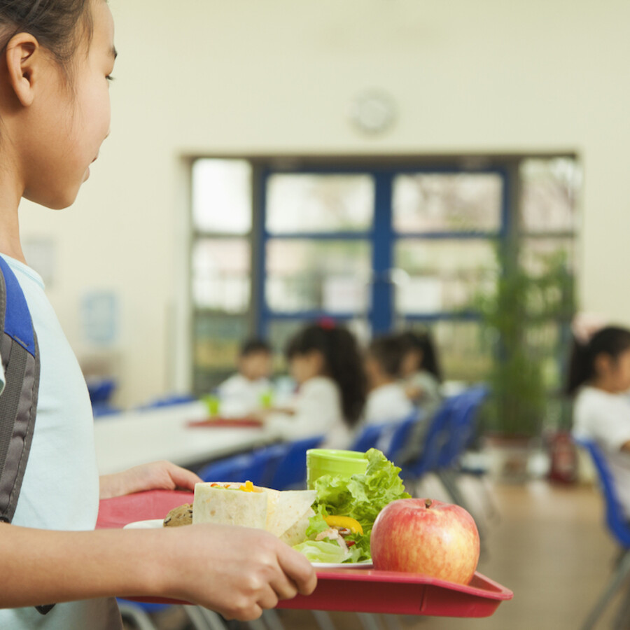 Child in school cafeteria